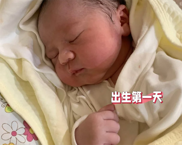 八大山人画石上鸟叫什么名子(首次“八大山人与齐白石研讨会”:重看艺术传承的似与不似) 八大山人画石上鸟叫什么名子(首次“八大山人与齐白石研讨会”:重看艺术传承的似与不似)