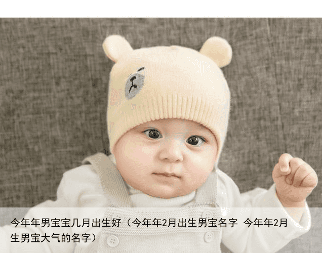 今年年男宝宝几月出生好（今年年2月出生男宝名字 今年年2月生男宝大气的名字）