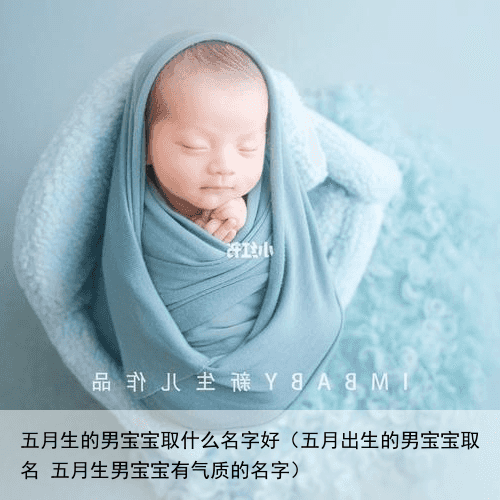 五月生的男宝宝取什么名字好（五月出生的男宝宝取名 五月生男宝宝有气质的名字）