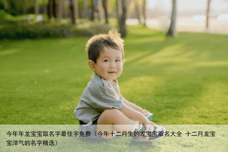 今年年龙宝宝取名字最佳字免费（今年十二月生的龙宝宝取名大全 十二月龙宝宝洋气的名字精选）