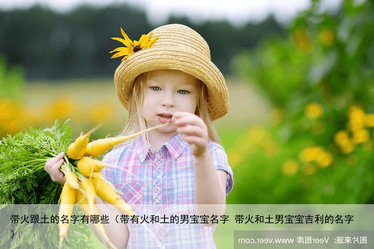带火跟土的名字有哪些（带有火和土的男宝宝名字 带火和土男宝宝吉利的名字）