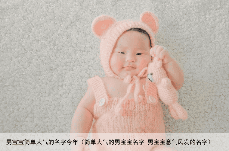 男宝宝简单大气的名字今年（简单大气的男宝宝名字 男宝宝意气风发的名字）