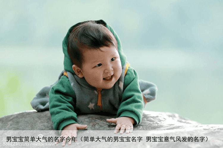 男宝宝简单大气的名字今年（简单大气的男宝宝名字 男宝宝意气风发的名字）