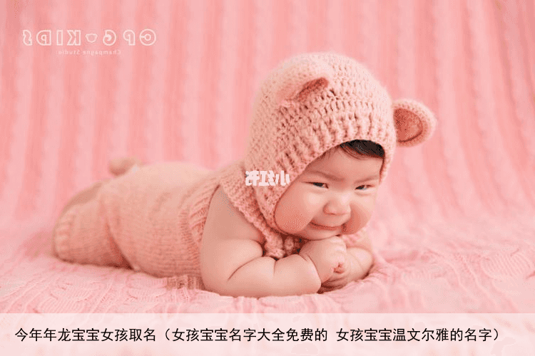 今年年龙宝宝女孩取名（女孩宝宝名字大全免费的 女孩宝宝温文尔雅的名字）