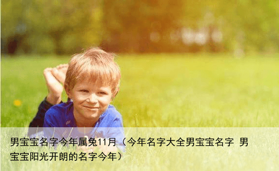 男宝宝名字今年属兔11月（今年名字大全男宝宝名字 男宝宝阳光开朗的名字今年）
