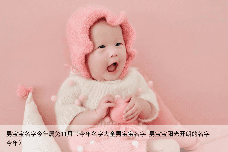 男宝宝名字今年属兔11月（今年名字大全男宝宝名字 男宝宝阳光开朗的名字今年）