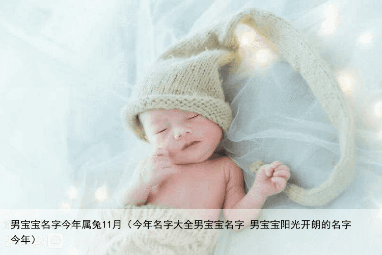 男宝宝名字今年属兔11月（今年名字大全男宝宝名字 男宝宝阳光开朗的名字今年）