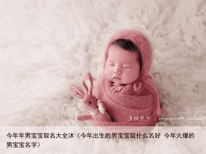 今年年男宝宝取名大全沐（今年出生的男宝宝取什么名好 今年火爆的男宝宝名字）