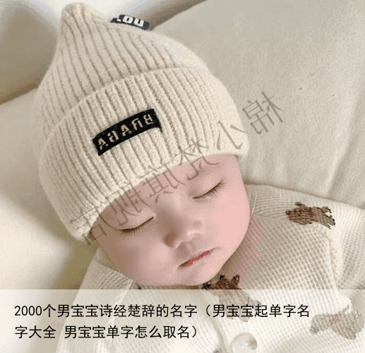 2000个男宝宝诗经楚辞的名字（男宝宝起单字名字大全 男宝宝单字怎么取名）