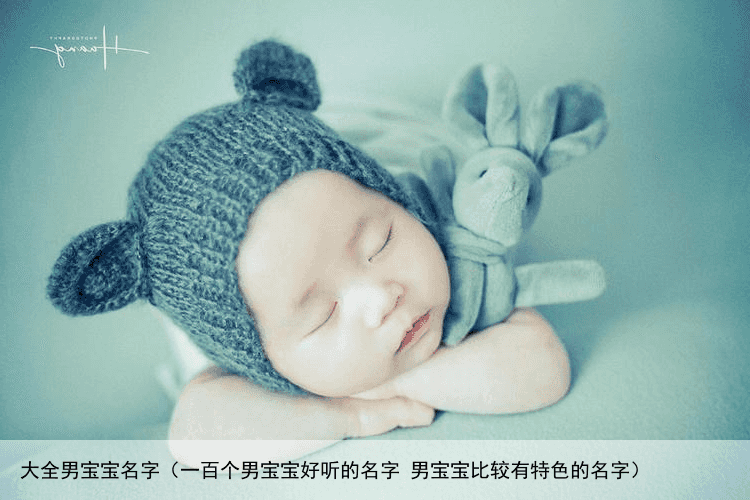 大全男宝宝名字（一百个男宝宝好听的名字 男宝宝比较有特色的名字）