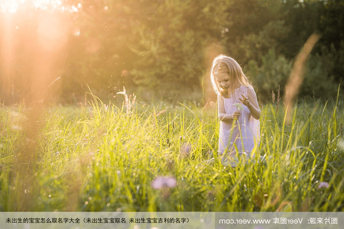 未出生的宝宝怎么取名字大全（未出生宝宝取名 未出生宝宝吉利的名字）