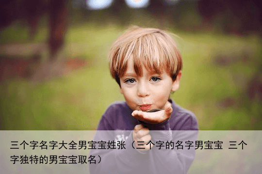 三个字名字大全男宝宝姓张（三个字的名字男宝宝 三个字独特的男宝宝取名）