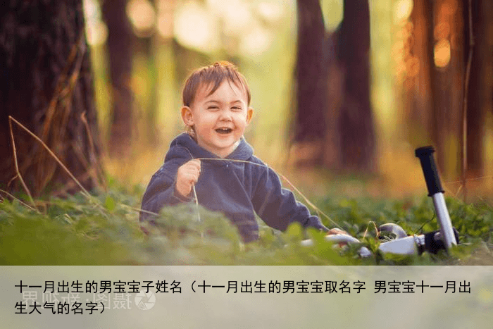 十一月出生的男宝宝子姓名（十一月出生的男宝宝取名字 男宝宝十一月出生大气的名字）