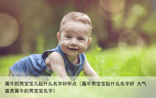 属牛的男宝宝儿起什么名字好听点（属牛男宝宝起什么名字好 大气富贵属牛的男宝宝名字）