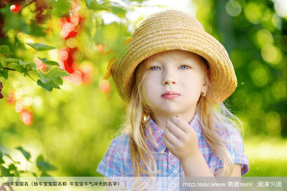 给牛宝取名（给牛宝宝取名称 牛宝宝牛气冲天的名字）