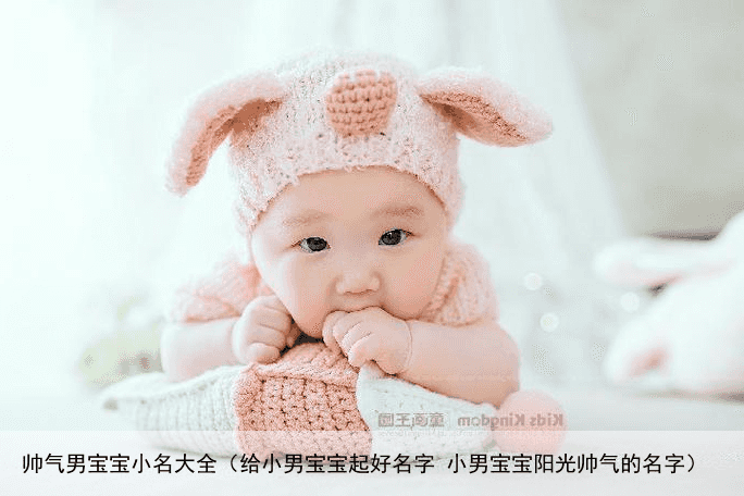 帅气男宝宝小名大全（给小男宝宝起好名字 小男宝宝阳光帅气的名字）