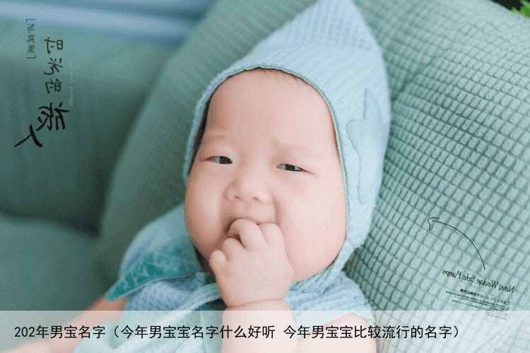 202年男宝名字（今年男宝宝名字什么好听 今年男宝宝比较流行的名字）