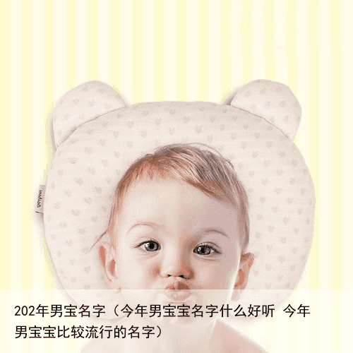 202年男宝名字（今年男宝宝名字什么好听 今年男宝宝比较流行的名字）