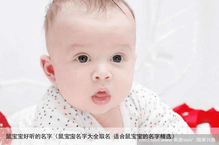 鼠宝宝好听的名字（鼠宝宝名字大全取名 适合鼠宝宝的名字精选）