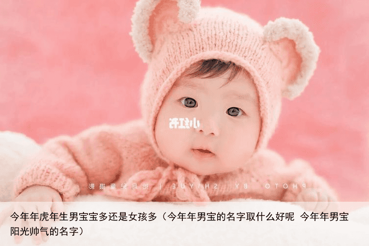 今年年虎年生男宝宝多还是女孩多（今年年男宝的名字取什么好呢 今年年男宝阳光帅气的名字）