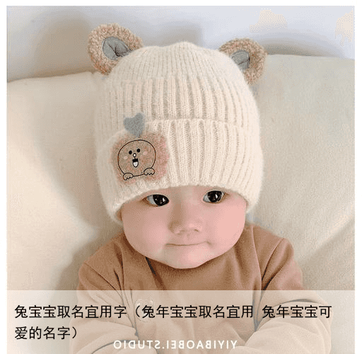 兔宝宝取名宜用字（兔年宝宝取名宜用 兔年宝宝可爱的名字）