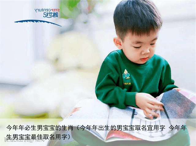 今年年必生男宝宝的生肖（今年年出生的男宝宝取名宜用字 今年年生男宝宝最佳取名用字）