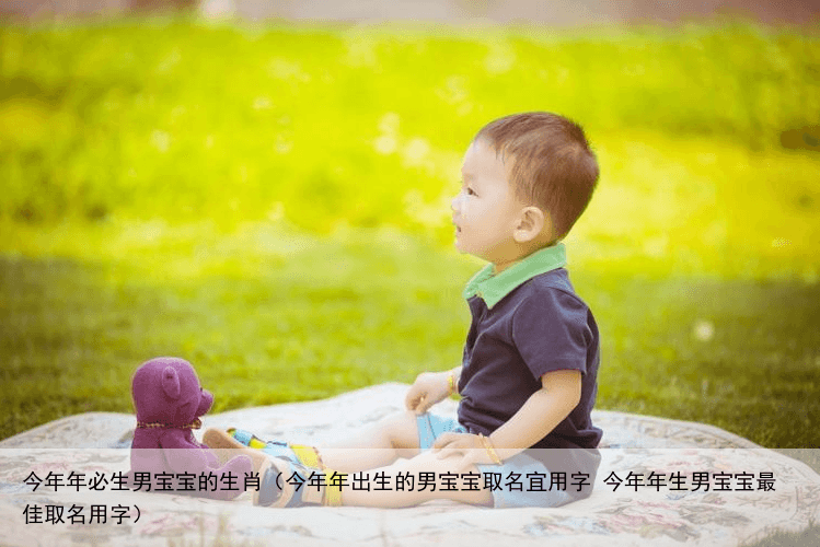 今年年必生男宝宝的生肖（今年年出生的男宝宝取名宜用字 今年年生男宝宝最佳取名用字）