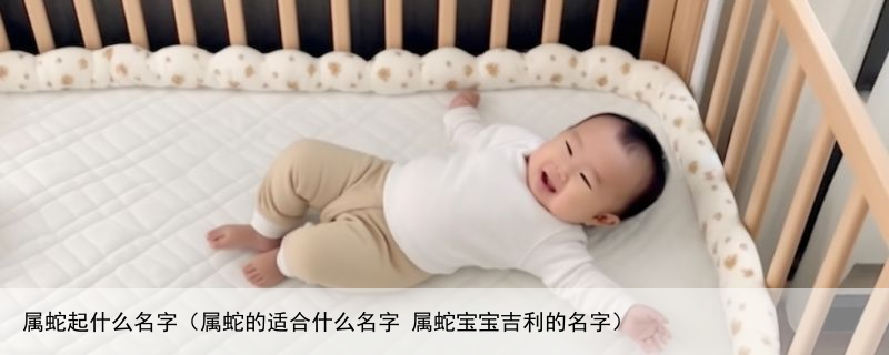 属蛇起什么名字（属蛇的适合什么名字 属蛇宝宝吉利的名字）