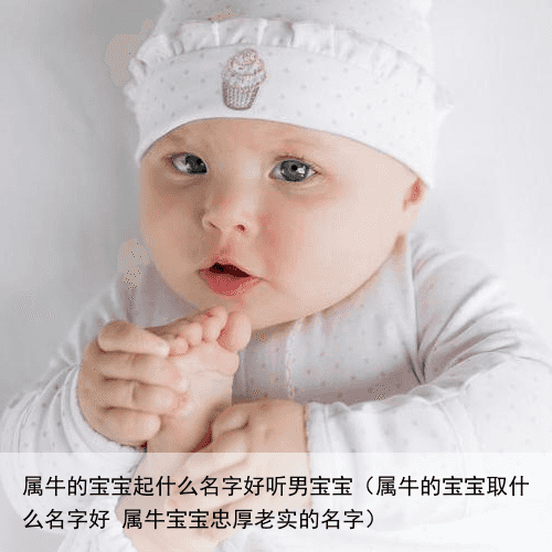属牛的宝宝起什么名字好听男宝宝（属牛的宝宝取什么名字好 属牛宝宝忠厚老实的名字）