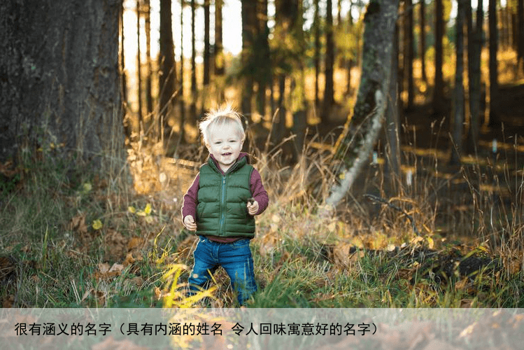 很有涵义的名字（具有内涵的姓名 令人回味寓意好的名字）
