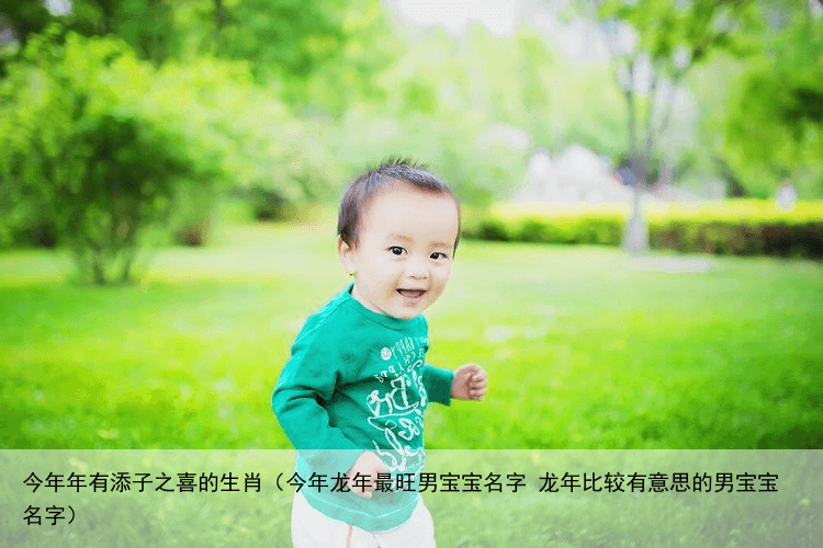 今年年有添子之喜的生肖（今年龙年最旺男宝宝名字 龙年比较有意思的男宝宝名字）