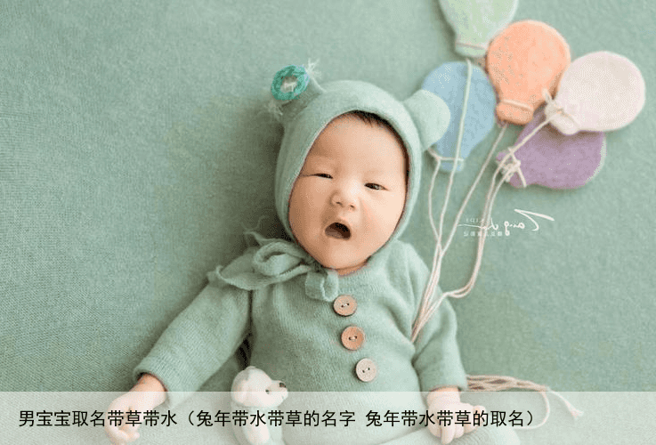 男宝宝取名带草带水（兔年带水带草的名字 兔年带水带草的取名）