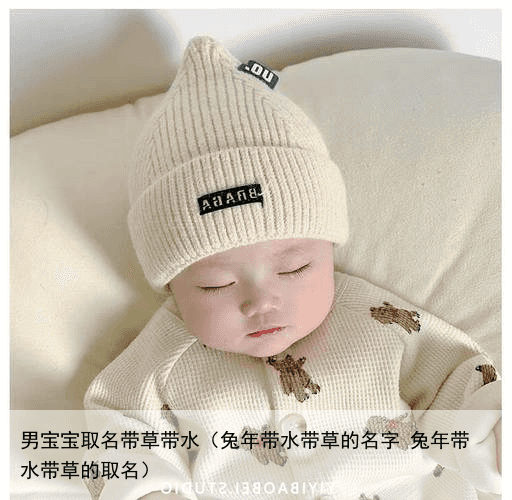 男宝宝取名带草带水（兔年带水带草的名字 兔年带水带草的取名）