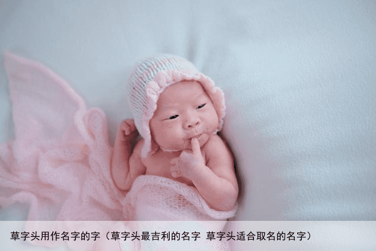 草字头用作名字的字（草字头最吉利的名字 草字头适合取名的名字）