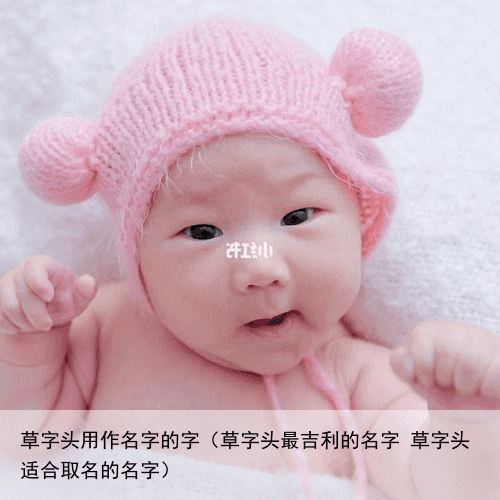 草字头用作名字的字（草字头最吉利的名字 草字头适合取名的名字）