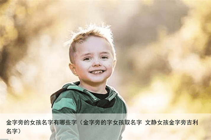 金字旁的女孩名字有哪些字（金字旁的字女孩取名字 文静女孩金字旁吉利名字）