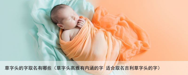 草字头的字取名有哪些（草字头高雅有内涵的字 适合取名吉利草字头的字）