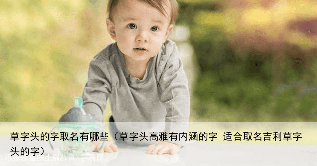 草字头的字取名有哪些（草字头高雅有内涵的字 适合取名吉利草字头的字）