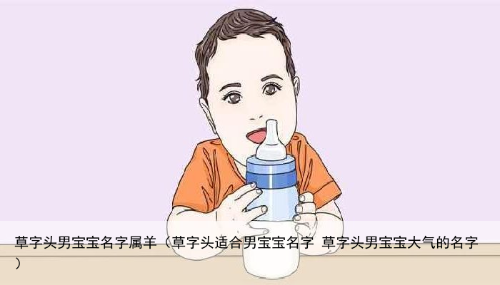 草字头男宝宝名字属羊（草字头适合男宝宝名字 草字头男宝宝大气的名字）