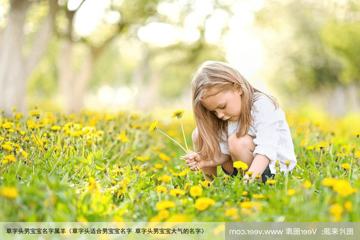 草字头男宝宝名字属羊（草字头适合男宝宝名字 草字头男宝宝大气的名字）