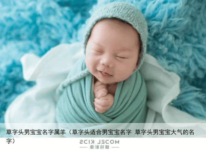 草字头男宝宝名字属羊（草字头适合男宝宝名字 草字头男宝宝大气的名字）