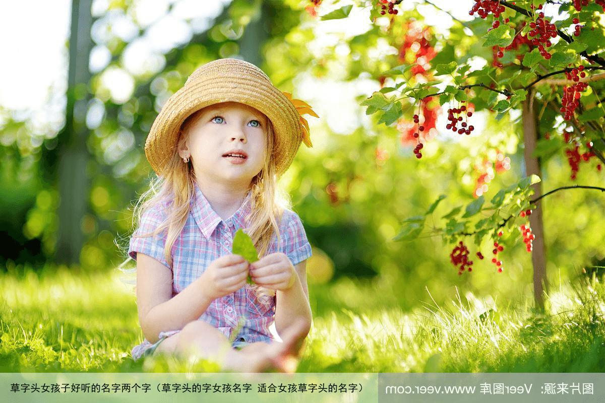 草字头女孩子好听的名字两个字（草字头的字女孩名字 适合女孩草字头的名字）