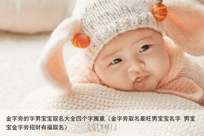 金字旁的字男宝宝取名大全四个字寓意（金字旁取名最旺男宝宝名字 男宝宝金字旁招财有福取名）