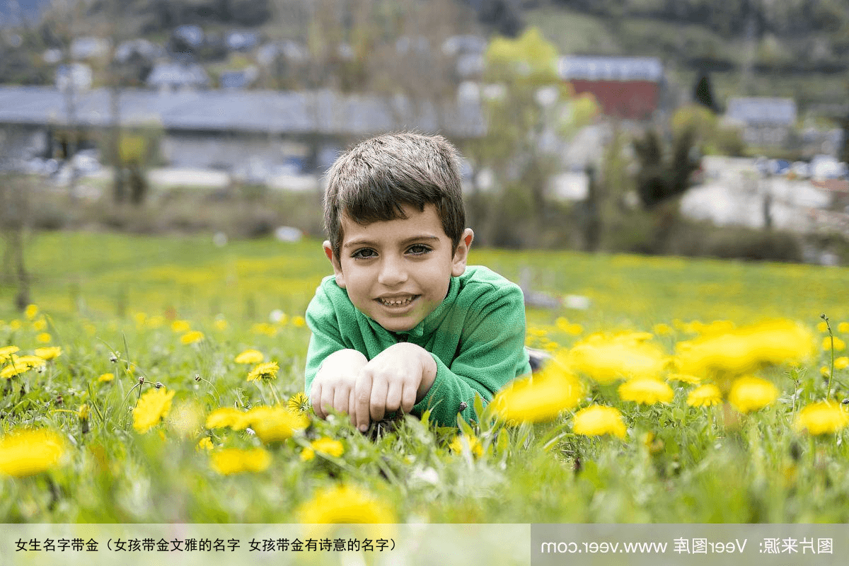女生名字带金（女孩带金文雅的名字 女孩带金有诗意的名字）