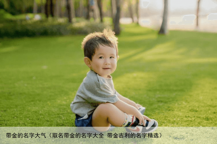 带金的名字大气（取名带金的名字大全 带金吉利的名字精选）