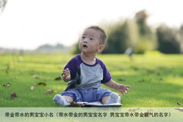 带金带水的男宝宝小名（带水带金的男宝宝名字 男宝宝带水带金霸气的名字）