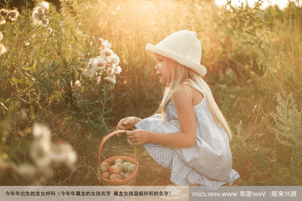 今年年出生的龙女好吗（今年年属龙的女孩名字 属龙女孩温婉好听的名字）