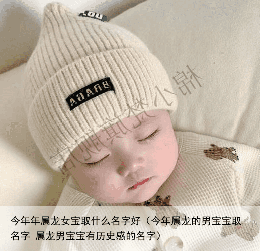 今年年属龙女宝取什么名字好（今年属龙的男宝宝取名字 属龙男宝宝有历史感的名字）