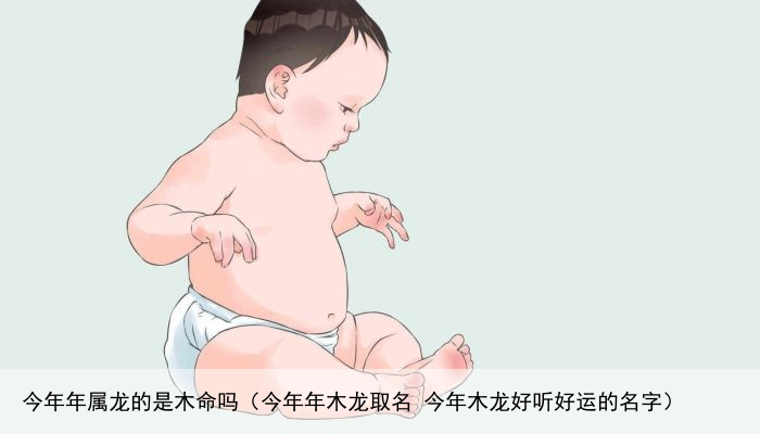 今年年属龙的是木命吗（今年年木龙取名 今年木龙好听好运的名字）