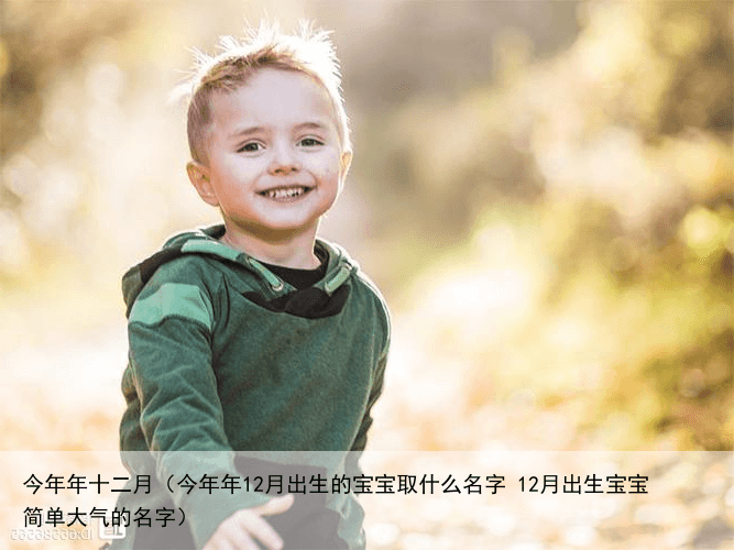 今年年十二月（今年年12月出生的宝宝取什么名字 12月出生宝宝简单大气的名字）